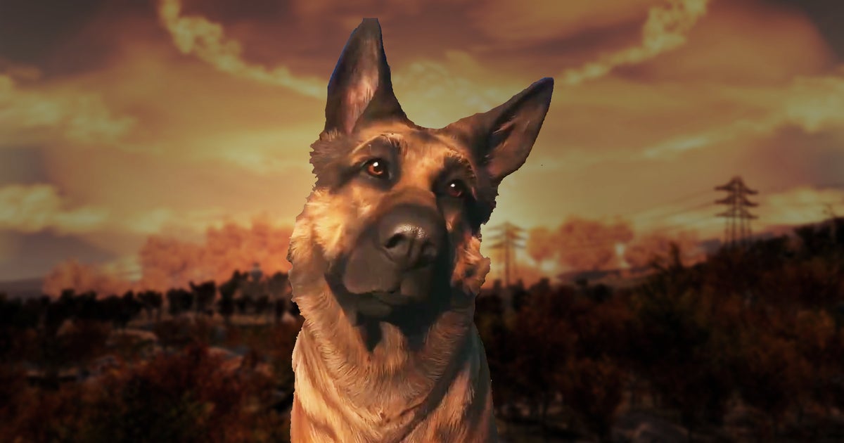 Man's best friend in a Wasteland: Why Dogmeat reigns supreme in the Fallout universe